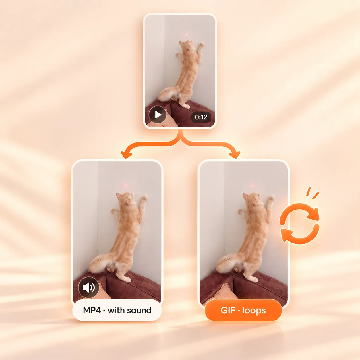 Save a Pinterest GIF, or save the MP4 of a video Pin